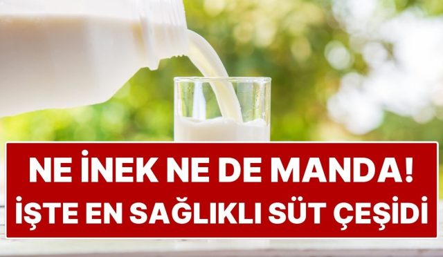 ne-inek-ne-de-manda-en-saglikli-sut-cesidi-meger-degisikmis-35BSGSRT.jpg