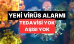 nipah-virusu-alarmi-nipah-virusu-nedir-nasil-bulasir-VUKXnJ52.jpg