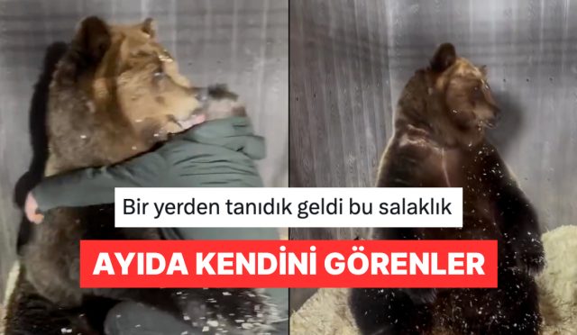 olcu-alan-veterinerin-sarildigini-zanneden-ayiyla-empati-kuran-sahislar-uzTApf2c.jpg