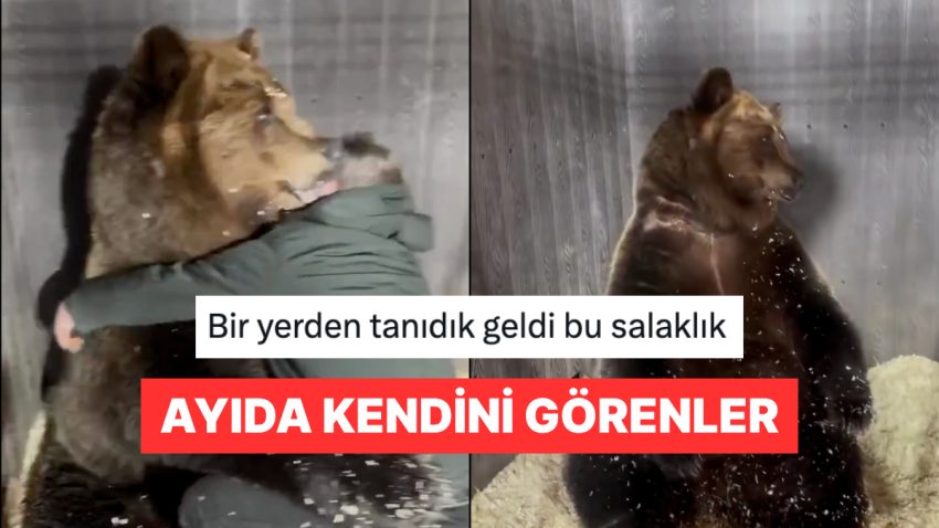 Ölçü Alan Veterinerin Sarıldığını Zanneden Ayıyla Empati Kuran Şahıslar