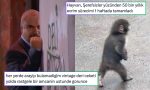 olmaktan-korktugu-bireye-donusenden-abur-cubur-reyonunda-gelen-yas-sorgulamasina-son-24-saatin-viral-84eQiKGH.jpg
