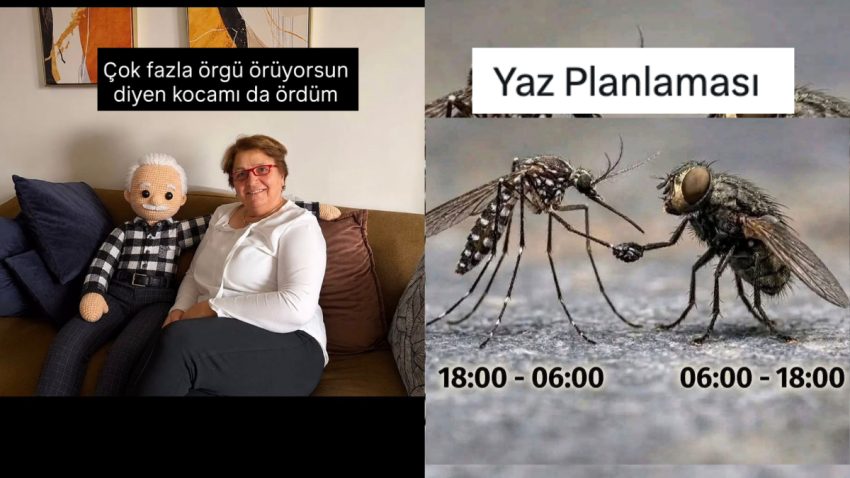Örgü Meczuplarından Sineklerin Favori Mevsimine Son 24 Saatin Viral Tweetleri