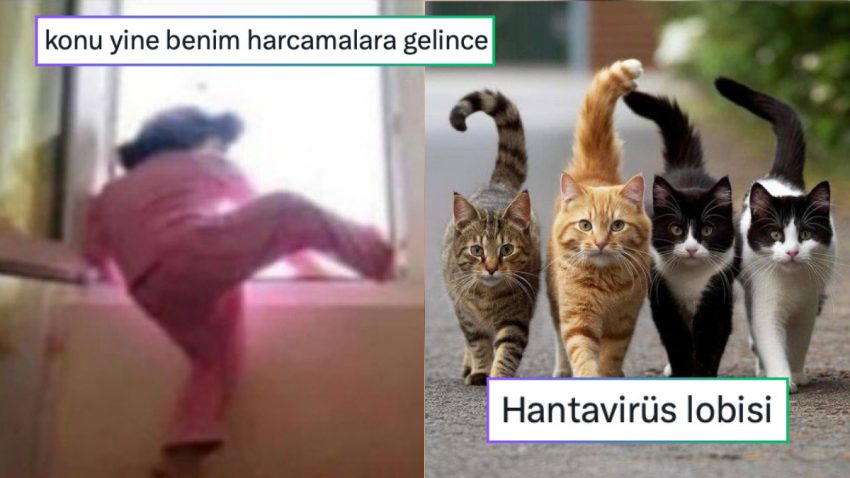 Pazarcı Ağabeylerin Yaptığı Kombinlerden Kedilerden Oluşan Hantavirüs Lobisine Son 24 Saatin Viral Tweetleri