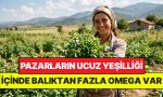 pazardaki-en-ucuz-yesilliklerden-icinde-baliktan-fazla-omega-3-var-lmfH5eSR.jpg