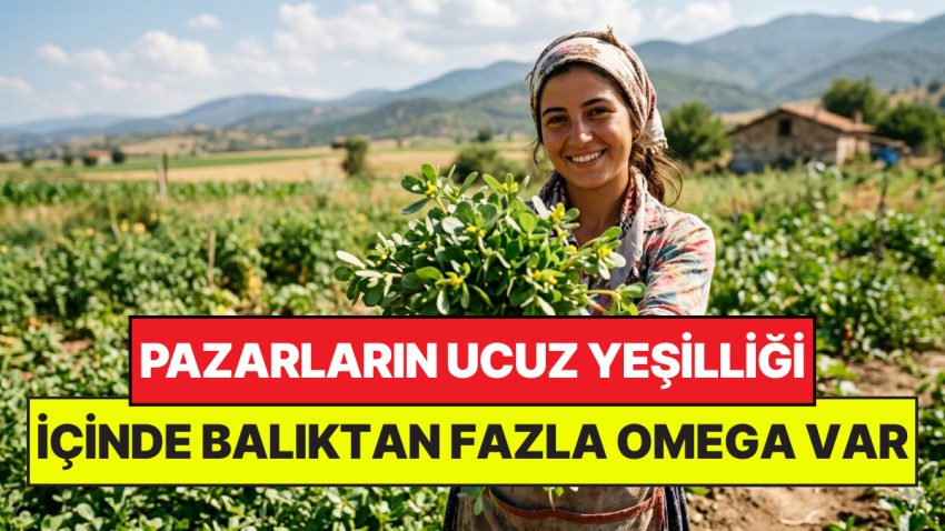 Pazardaki En Ucuz Yeşilliklerden: İçinde Balıktan Fazla Omega-3 Var