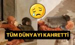 pelus-oyuncagini-bir-an-olsun-birakmayan-punch-isimli-maymun-dunyada-viral-oldu-7t3aIpee.jpg