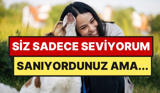 psikolojiye-nazaran-sokakta-kopek-sevmenin-aslinda-degisik-bir-manasi-var-y5h7OlMN.jpg