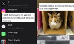 saatleri-ayarlama-enstitusunden-kedilerin-her-yerden-cikmasina-son-24-saatin-viral-tweetleri-KOa4GMsk.jpg