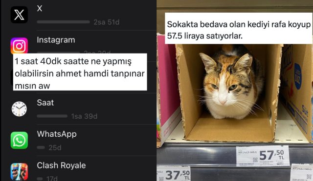 saatleri-ayarlama-enstitusunden-kedilerin-her-yerden-cikmasina-son-24-saatin-viral-tweetleri-KOa4GMsk.jpg