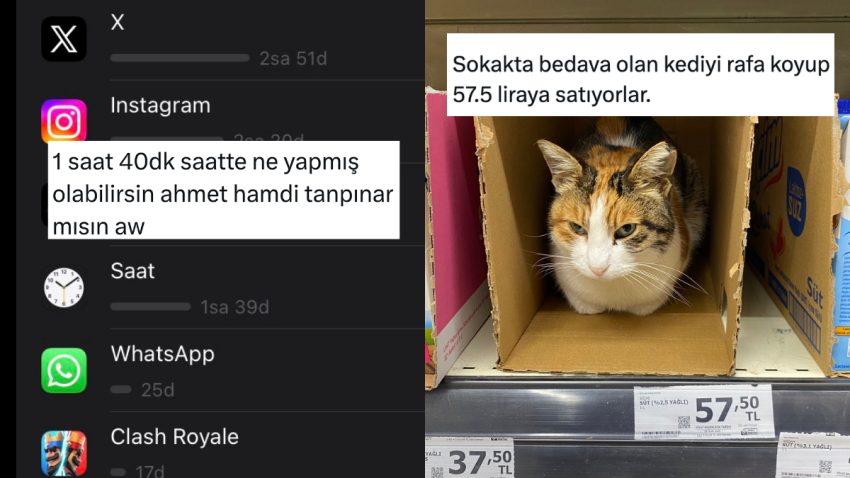 Saatleri Ayarlama Enstitüsünden Kedilerin Her Yerden Çıkmasına Son 24 Saatin Viral Tweetleri