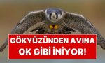 saatte-389-kilometreye-ulasiyor-gokyuzunden-avina-ok-uzere-iniyor-MDBPjKWv.jpg