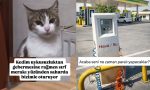 sahura-kalkan-kediden-baykus-baykus-konusanlara-son-24-saatin-viral-tweetleri-M6nAs4Jm.jpg