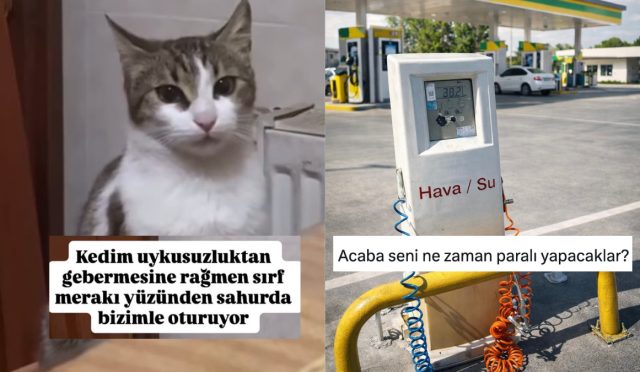 sahura-kalkan-kediden-baykus-baykus-konusanlara-son-24-saatin-viral-tweetleri-M6nAs4Jm.jpg