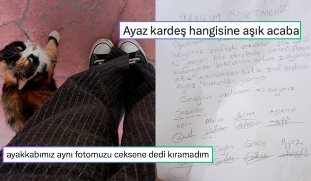 sarman-kedilere-olan-guvensizlikten-bulasiktan-sikildigi-icin-tabldot-alana-son-24-saatin-viral-tweetleri-ukz5tKLC.jpg