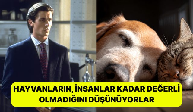 sasirdik-mi-arastirmalara-nazaran-hayvanlari-sevmeyen-beserler-sorunlu-ZHT1ARhE.jpg