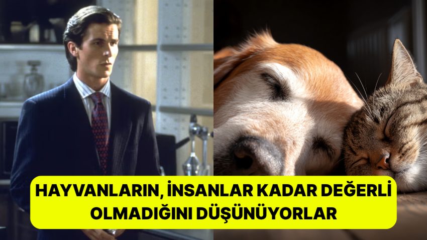 Şaşırdık mı? Araştırmalara Nazaran Hayvanları Sevmeyen Beşerler “Sorunlu”