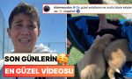 siddete-ugrayan-kopekleri-monta-sarip-gozyaslariyla-ogretmenlerine-goturen-minikler-umutlarinizi-yesertecek-M61gDjjR.jpg