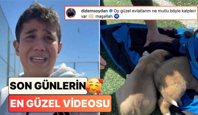 siddete-ugrayan-kopekleri-monta-sarip-gozyaslariyla-ogretmenlerine-goturen-minikler-umutlarinizi-yesertecek-M61gDjjR.jpg
