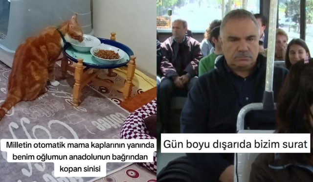 siniden-yiyen-kediden-yuzunde-guller-acanlara-son-24-saatin-viral-tweetleri-mCwVihwY.jpg