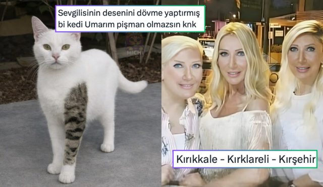 skolyozu-olan-balinaya-yuzme-tavsiye-edenden-salcasiz-pasaporta-son-24-saatin-viral-tweetleri-tfGClPvq.jpg