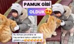 sokakta-gordugu-kedilerin-usudugunu-fark-eden-minigin-tatli-teklifini-izlerken-pamuk-uzere-olacaksiniz-N7YPrCXQ.jpg