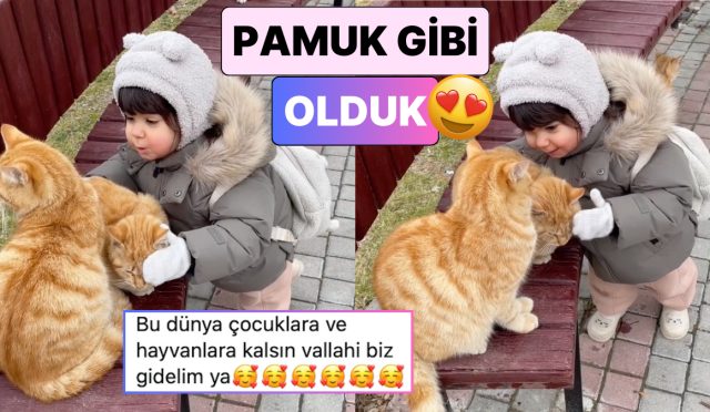 sokakta-gordugu-kedilerin-usudugunu-fark-eden-minigin-tatli-teklifini-izlerken-pamuk-uzere-olacaksiniz-N7YPrCXQ.jpg