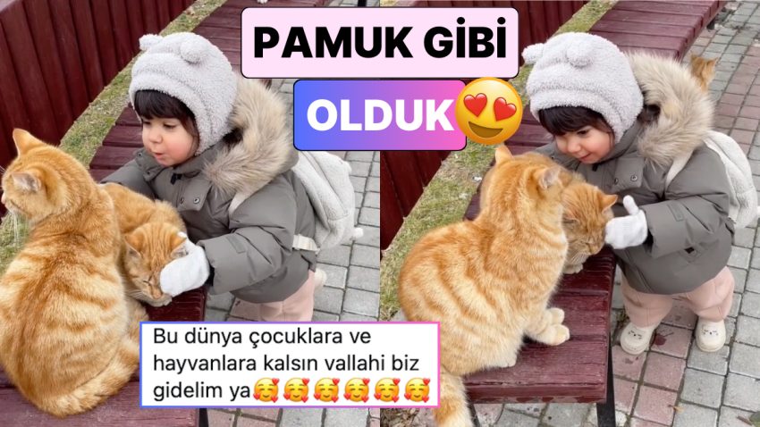 Sokakta Gördüğü Kedilerin Üşüdüğünü Fark Eden Miniğin Tatlı Teklifini İzlerken Pamuk Üzere Olacaksınız