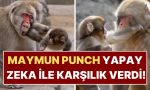 son-goruntusuyle-kalpleri-daglamisti-maymun-puncha-yapilan-yapay-zeka-goruntusu-yureklere-su-serpti-d8QszjAR.jpg