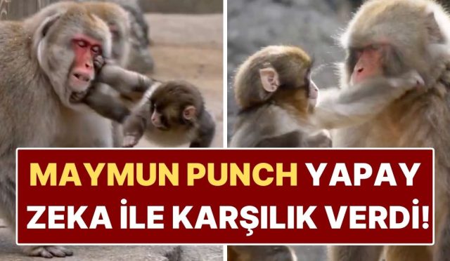 son-goruntusuyle-kalpleri-daglamisti-maymun-puncha-yapilan-yapay-zeka-goruntusu-yureklere-su-serpti-d8QszjAR.jpg