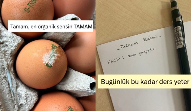 sovmen-yumurtadan-az-lakin-oz-calisanlara-son-24-saatin-viral-tweetleri-wesv8k9L.jpg