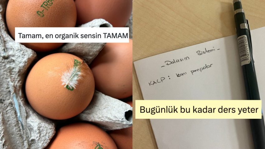 Şovmen Yumurtadan Az lakin Öz Çalışanlara Son 24 Saatin Viral Tweetleri
