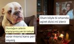 tacinin-son-halinden-ortam-dizi-uyumsuzluguna-son-24-saatin-viral-tweetleri-SZYZ3OUD.jpg
