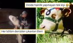tasacak-bu-denizi-mizahina-alet-ederek-hepimizi-gulduren-goygoyseverler-3hhRWNLP.jpg