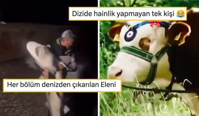 tasacak-bu-denizi-mizahina-alet-ederek-hepimizi-gulduren-goygoyseverler-3hhRWNLP.jpg