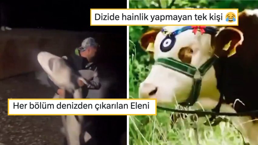 Taşacak Bu Deniz’i Mizahına Alet Ederek Hepimizi Güldüren Goygoyseverler