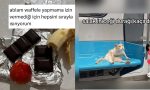 toplama-waffle-yapanlardan-duragi-kaciranlara-son-24-saatin-viral-tweetleri-Cg7UHX69.jpg