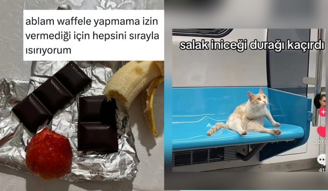 toplama-waffle-yapanlardan-duragi-kaciranlara-son-24-saatin-viral-tweetleri-Cg7UHX69.jpg