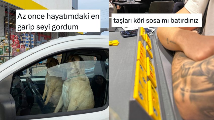 Tuhaf Görüntülerden Köri Soslu Okey Taşına Son 24 Saatin Viral Tweetleri