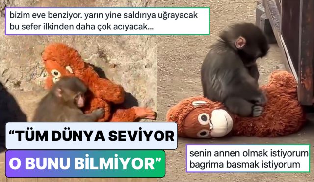 tum-dunyanin-yuregini-daglayan-maymun-puncha-olan-hislerini-lisana-getiren-toplumsal-medya-kullancilari-jKpCO194.jpg