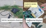 turkcenin-esnekligini-mizaha-donusturerek-gulduren-twitter-kullanicilari-4abMxbeO.jpg