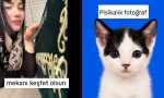 turkcenin-esnekligini-mizaha-donusturerek-gulduren-twitter-kullanicilari-BPdnaTB2.jpg