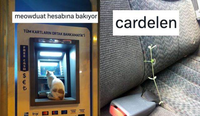 turkcenin-esnekligini-mizaha-donusturerek-gulduren-twitter-kullanicilari-Q6WccTRJ.jpg