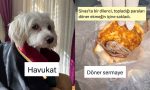 turkcenin-esnekligini-mizaha-donusturerek-gulduren-twitter-kullanicilari-jan9E8w1.jpg
