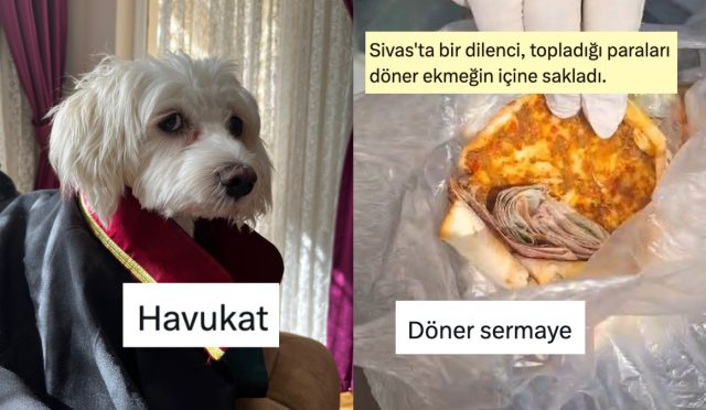 turkcenin-esnekligini-mizaha-donusturerek-gulduren-twitter-kullanicilari-jan9E8w1.jpg