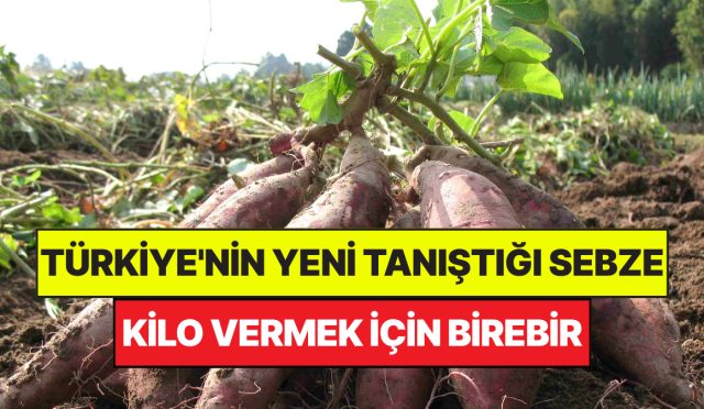 turkiyenin-yeni-tanistigi-zerzevat-dunyada-super-besin-ilan-edildi-kilo-vermek-icin-birebir-rDdI72Ab.jpg