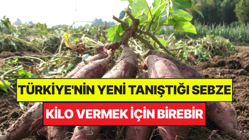 Türkiye’nin Yeni Tanıştığı Zerzevat Dünyada ‘Süper Besin’ İlan Edildi: Kilo Vermek İçin Birebir
