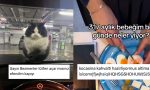 ugur-dundar-kediden-esine-bebek-uzere-bakanlara-son-24-saatin-viral-tweetleri-UhRrtPDr.jpg