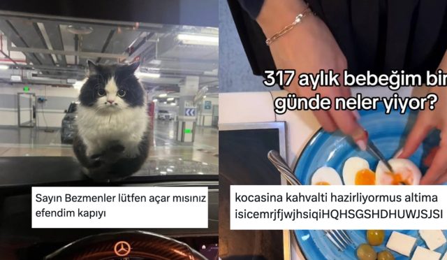 ugur-dundar-kediden-esine-bebek-uzere-bakanlara-son-24-saatin-viral-tweetleri-UhRrtPDr.jpg