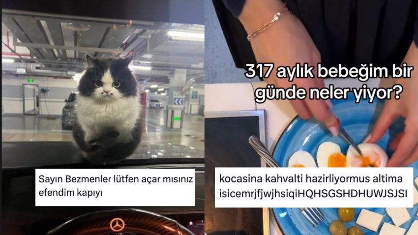 Uğur Dündar Kediden Eşine Bebek Üzere Bakanlara Son 24 Saatin Viral Tweetleri