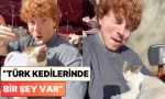 ulkemizi-gezen-bir-turist-kafede-bir-anda-kucagina-oturan-kediyi-paylasti-kediler-ulkesine-begenilen-Yw28yxq9.jpg